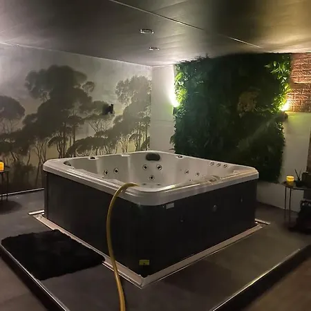 Apartment The Exclusive Jacuzzi *