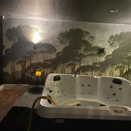 Apartment The Exclusive Jacuzzi Birmingham